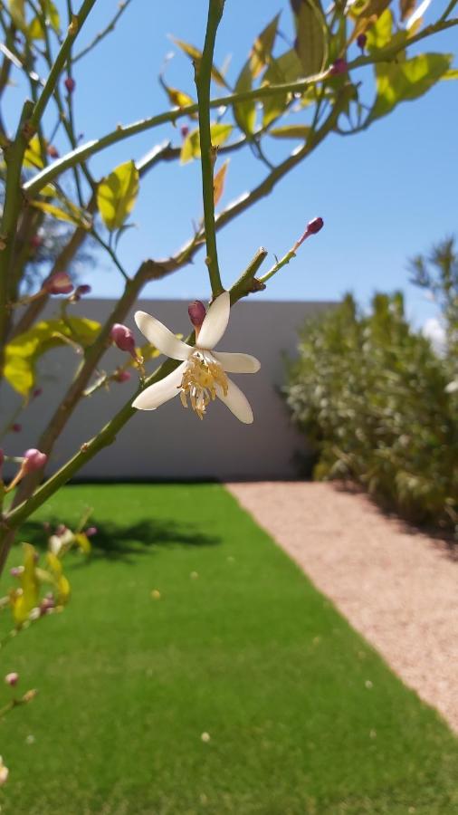 Villa Home Holiday A Cala Rossa Lecci Zewnętrze zdjęcie