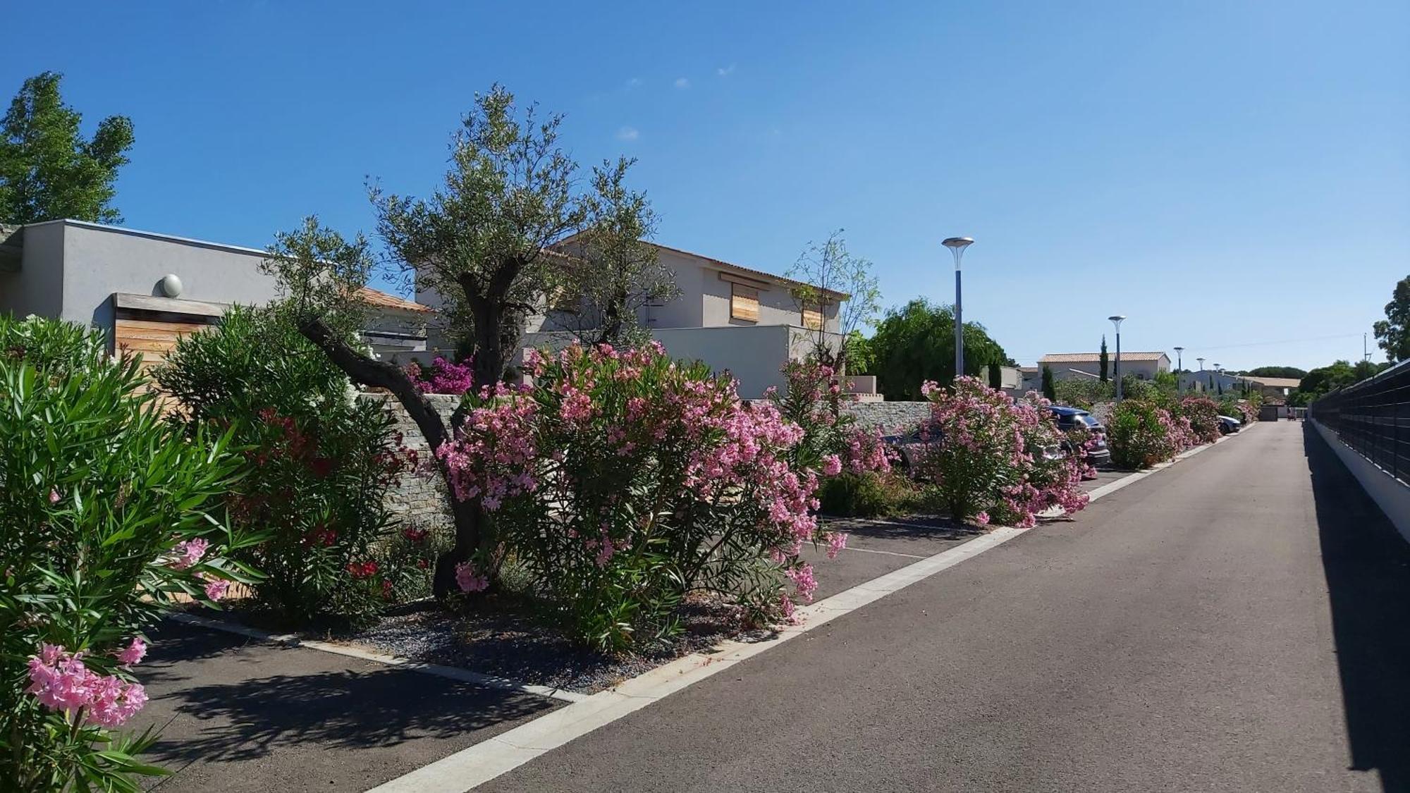 Villa Home Holiday A Cala Rossa Lecci Zewnętrze zdjęcie